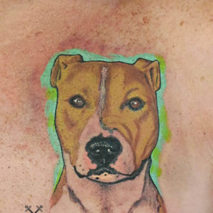 Tatuaggio ritratto cane