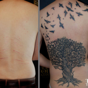 Copertura di cicatrici su schiena con albero e rondini