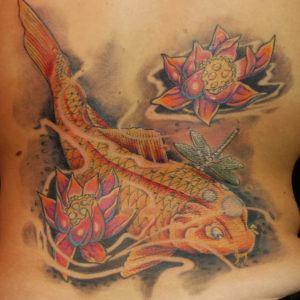 Carpa Koi colorata con 2 fiori di loto su schiena