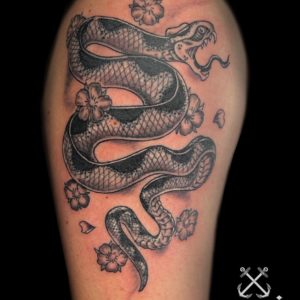 Serpente in bianco e nero